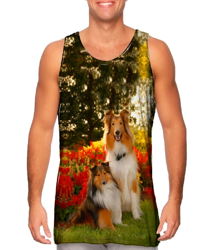 Celebrity Style Tender Border Collie
