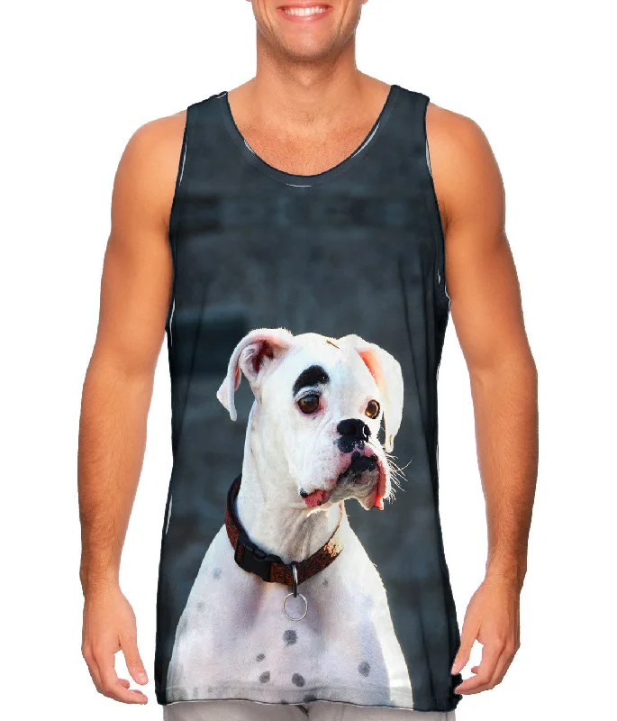 Party Wear Tender Boxer